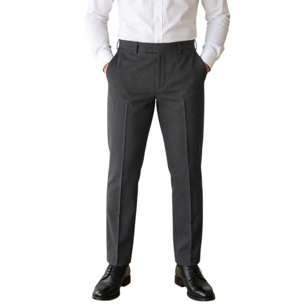 Louis Raphael Gray Slim Fit Dress Pants Minimalist Business 30x32 NWT